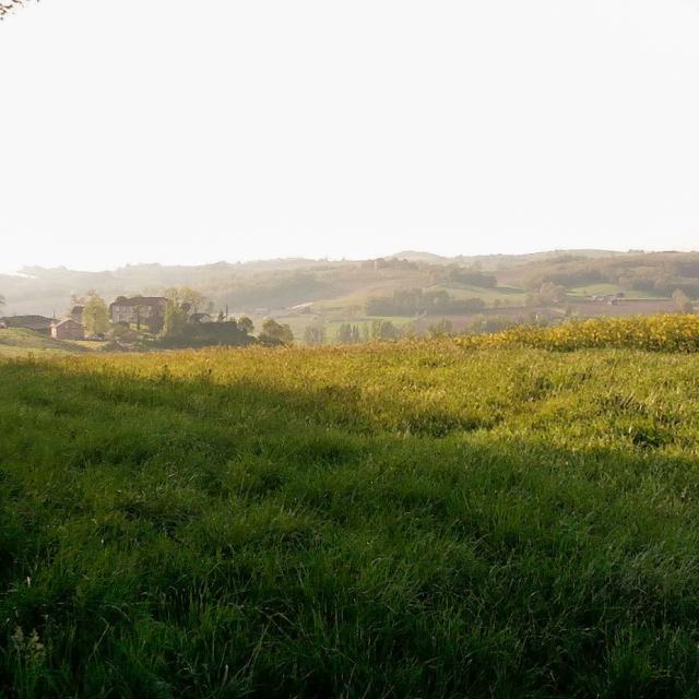 Un Vallon Du Bas Quercy Vazeracais