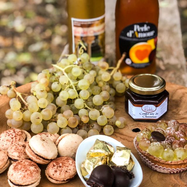 Chasselas AOP, produit d'exception Tarn-et-Garonnais