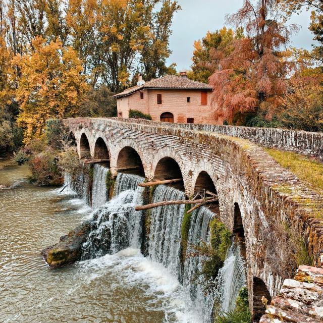 Instagram #igerstarnetgaronne